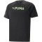PUMA Fit Ultrabreathe Triblend T-Shirt Herren