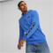 PUMA Ess+ Metallic Tape Hoodie Herren 92 - royal sapphire XL