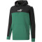PUMA Ess+ Metallic Block Hoodie Herren 37 - vine 3XL