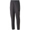 PUMA BVB Borussia Dortmund FtblArchive Trainingshose Herren 04 - flat dark gray/cyber yellow XL
