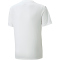 PUMA teamULTIMATE Trikot Kinder 04 - PUMA white 116
