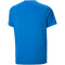 PUMA teamULTIMATE Trikot Kinder 02 - electric blue lemonade 116