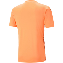 PUMA teamULTIMATE Trikot Herren 21 - neon citrus S