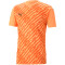 PUMA teamULTIMATE Trikot Herren 21 - neon citrus L
