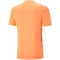 PUMA teamULTIMATE Trikot Herren 21 - neon citrus L