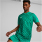 PUMA teamULTIMATE Trikot Herren 05 - pepper green S
