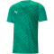 PUMA teamULTIMATE Trikot Herren 05 - pepper green 3XL