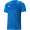 PUMA teamULTIMATE Trikot Herren 02 - electric blue lemonade L