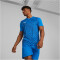 PUMA teamULTIMATE Trikot Herren 02 - electric blue lemonade L