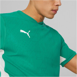 PUMA teamCUP Trikot Herren 05 - pepper green S