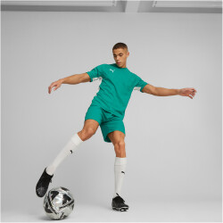 PUMA teamCUP Trikot Herren 05 - pepper green S