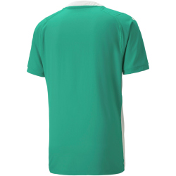 PUMA teamCUP Trikot Herren 05 - pepper green L