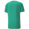 PUMA teamCUP Trikot Herren 05 - pepper green L