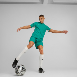 PUMA teamCUP Trikot Herren 05 - pepper green XXL