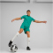 PUMA teamCUP Trikot Herren 05 - pepper green XXL
