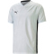 PUMA teamCUP Trikot Herren 04 - PUMA white L
