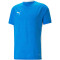 PUMA teamCUP Trikot Herren 02 - electric blue lemonade S