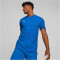 PUMA teamCUP Trikot Herren 02 - electric blue lemonade S