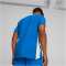 PUMA teamCUP Trikot Herren 02 - electric blue lemonade S