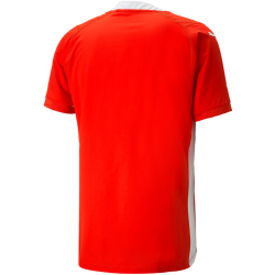 PUMA teamCUP Trikot Herren 01 - PUMA red S