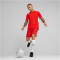 PUMA teamCUP Trikot Herren 01 - PUMA red XL