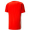 PUMA teamCUP Trikot Herren 01 - PUMA red XL
