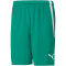 PUMA teamLIGA Trainingsshorts Herren 05 - pepper green/puma white XS
