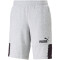 PUMA Essentials Block x Tape 10" Trainingsshorts Herren 04 - light gray heather M
