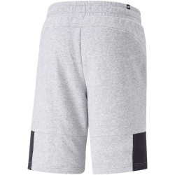 PUMA Essentials Block x Tape 10" Trainingsshorts Herren 04 - light gray heather XL