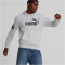 PUMA Power Colorblock Hoodie Herren 04 - light gray heather L