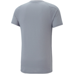 PUMA Evostripe T-Shirt Herren 69 - gray tile L