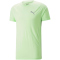 PUMA Evostripe T-Shirt Herren 35 - spring fern M