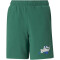 PUMA Essentials+ Street Art Shorts Jungen 37 - vine 140