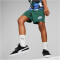 PUMA Essentials+ Street Art Shorts Jungen 37 - vine 140