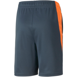 PUMA Active Sports Polyestershorts Jungen 16 - dark night...