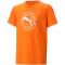 PUMA Active Sports Graphic T-Shirt Jungen 23 - cayenne pepper 140