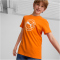 PUMA Active Sports Graphic T-Shirt Jungen 23 - cayenne pepper 140