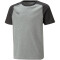 PUMA teamCUP Casuals T-Shirt Kinder 13 - medium gray heather 116
