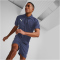 PUMA teamLIGA Multisport Poloshirt Herren 06 - puma navy XS