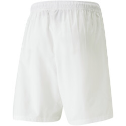 PUMA teamLIGA Multisport Shorts Herren 04 - puma white L
