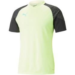 PUMA individualCUP Trainingsshirt Herren 51 - fast...
