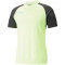 PUMA individualCUP Trainingsshirt Herren 51 - fast yellow/puma black S