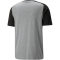 PUMA teamCUP Casuals T-Shirt Herren 13 - medium gray heather M