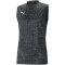 PUMA teamCUP ärmelloses Trainingsshirt Herren 03 - PUMA black 3XL