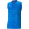 PUMA teamCUP ärmelloses Trainingsshirt Herren 02 - electric blue lemonade S