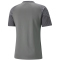 PUMA teamCUP Trainingsshirt Herren 13 - flat medium gray S