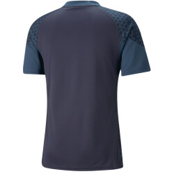 PUMA teamCUP Trainingsshirt Herren 06 - parisian night S