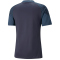 PUMA teamCUP Trainingsshirt Herren 06 - parisian night M