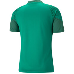 PUMA teamCUP Trainingsshirt Herren 05 - pepper green S