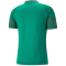 PUMA teamCUP Trainingsshirt Herren 05 - pepper green S